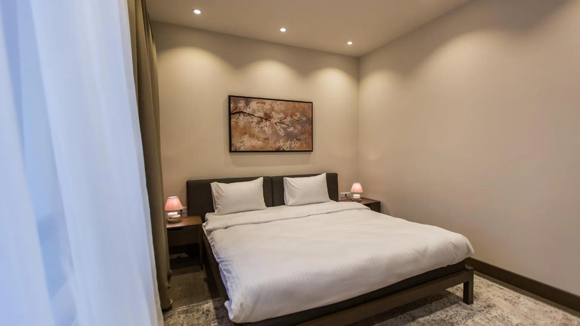 Luxurious Central Apartment Baku Azerbajdzjan